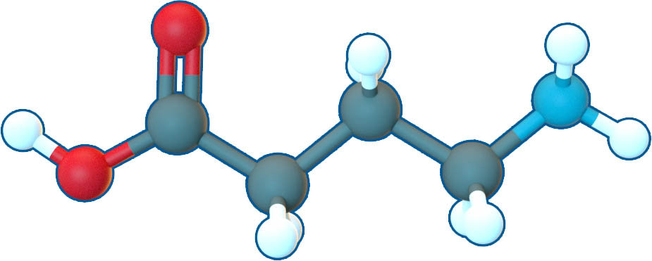 Image of Gamma-Aminobutyric acid | C4H9NO2 | Supreme Pharmatech
